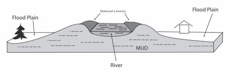 Cross sectional diagram of a river, with natural levees. Explained in text.